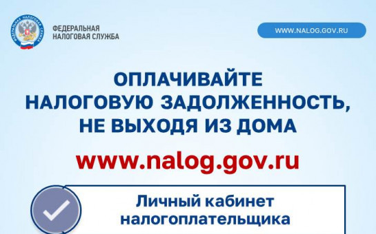 Как узнать о наличии налоговой заложенности и погасить ее?